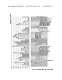 PLANTS WITH DECREASED ACTIVITY OF A STARCH DEPHOSPHORYLATING ENZYME diagram and image