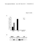 PLANTS WITH DECREASED ACTIVITY OF A STARCH DEPHOSPHORYLATING ENZYME diagram and image