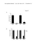 PLANTS WITH DECREASED ACTIVITY OF A STARCH DEPHOSPHORYLATING ENZYME diagram and image