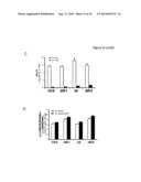 PLANTS WITH DECREASED ACTIVITY OF A STARCH DEPHOSPHORYLATING ENZYME diagram and image
