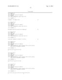 PLANTS WITH DECREASED ACTIVITY OF A STARCH DEPHOSPHORYLATING ENZYME diagram and image