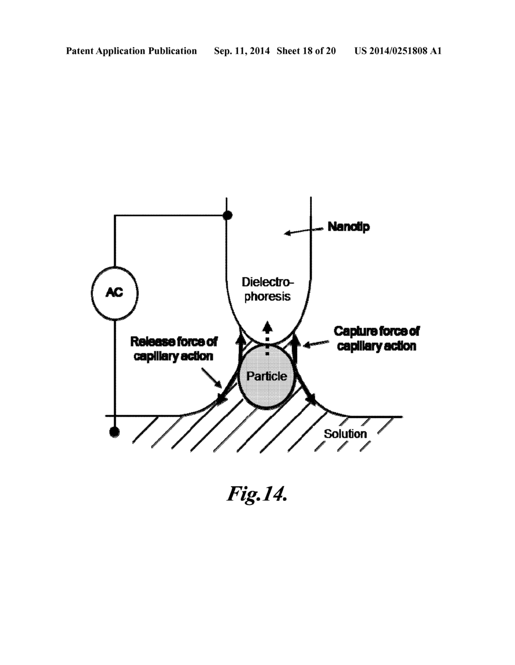 METHOD AND SYSTEM FOR CONCENTRATING PARTICLES FROM A SOLUTION - diagram, schematic, and image 19