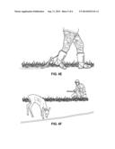 Disposable Single-Use Animal Attractant Dispensing Device diagram and image