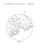 Aircraft with Electrically Conductive Nanocoating diagram and image