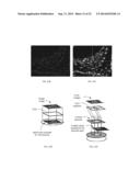 POLYFOCAL INTERFEROMETRIC IMAGE ACQUISTION diagram and image