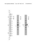 APPARATUS AND METHODS FOR THE CHARACTERIZATION OF THE DIELECTRIC RESPONSE     OF FLUIDS diagram and image