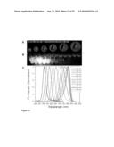 QUANTUM DOTS, RODS, WIRES, SHEETS, AND RIBBONS, AND USES THEREOF diagram and image