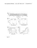 QUANTUM DOTS, RODS, WIRES, SHEETS, AND RIBBONS, AND USES THEREOF diagram and image