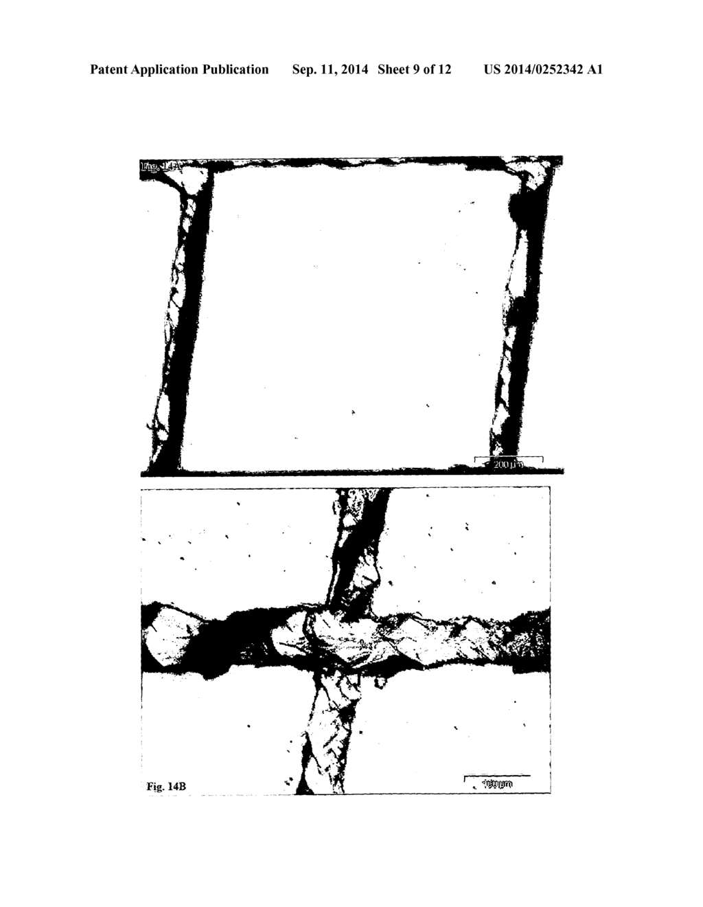 ENCAPSULATION BARRIER STACK - diagram, schematic, and image 10