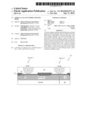 VERTICAL GALLIUM NITRIDE SCHOTTKY DIODE diagram and image