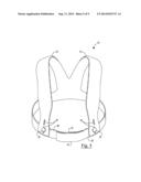 Infant Transport Apparatus and Method diagram and image