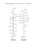 INSPECTION PROBE AND AN IC SOCKET WITH THE SAME diagram and image