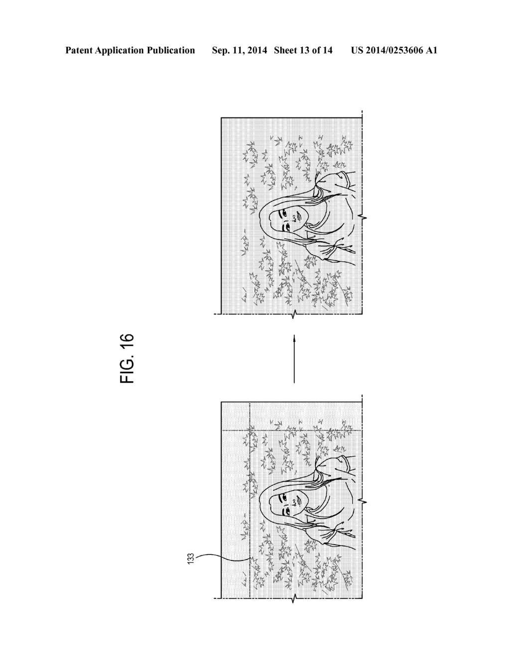 DISPLAY APPARATUS AND CONTROL METHOD THEREOF - diagram, schematic, and image 14