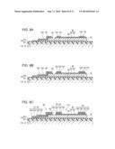 LIQUID EJECTING HEAD, LIQUID EJECTING APPARATUS, PIEZOELECTRIC ELEMENT,     AND METHOD FOR MANUFACTURING PIEZOELECTRIC ELEMENT diagram and image