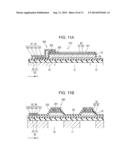 LIQUID EJECTING HEAD, LIQUID EJECTING APPARATUS, PIEZOELECTRIC ELEMENT,     AND METHOD FOR MANUFACTURING PIEZOELECTRIC ELEMENT diagram and image