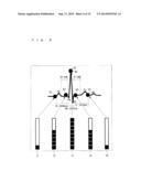 DYNAMIC RADIOGRAPHIC IMAGING SYSTEM diagram and image