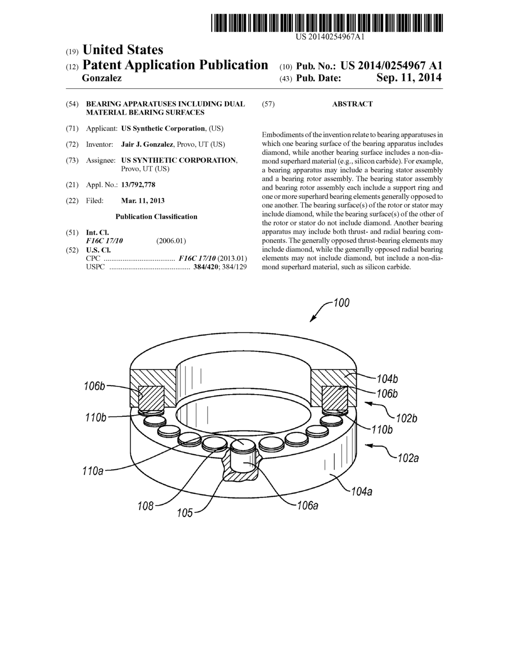 BEARING APPARATUSES INCLUDING DUAL MATERIAL BEARING SURFACES - diagram, schematic, and image 01