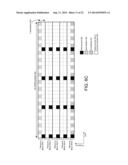 ORTHOGONAL FREQUENCY-DIVISION MULTIPLEXING BURST MARKERS diagram and image