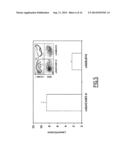 ANTI-VCAM-1 NANOBODIES diagram and image