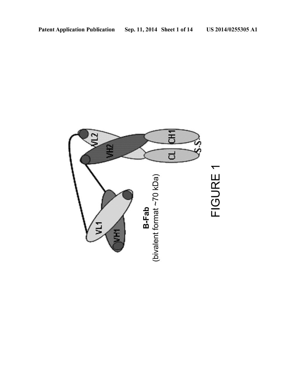 IMMUNO IMAGING AGENT FOR USE WITH ANTIBODY-DRUG CONJUGATE THERAPY - diagram, schematic, and image 02