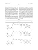 TRIAZINE BASED RADIOPHARMACEUTICALS AND RADIOIMAGING AGENTS diagram and image