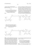 TRIAZINE BASED RADIOPHARMACEUTICALS AND RADIOIMAGING AGENTS diagram and image