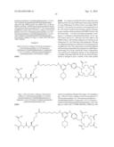 TRIAZINE BASED RADIOPHARMACEUTICALS AND RADIOIMAGING AGENTS diagram and image