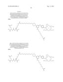 TRIAZINE BASED RADIOPHARMACEUTICALS AND RADIOIMAGING AGENTS diagram and image