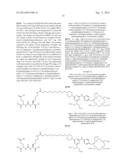 TRIAZINE BASED RADIOPHARMACEUTICALS AND RADIOIMAGING AGENTS diagram and image