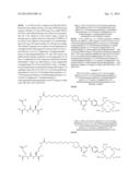 TRIAZINE BASED RADIOPHARMACEUTICALS AND RADIOIMAGING AGENTS diagram and image