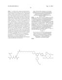 TRIAZINE BASED RADIOPHARMACEUTICALS AND RADIOIMAGING AGENTS diagram and image