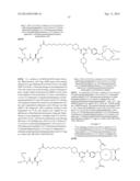 TRIAZINE BASED RADIOPHARMACEUTICALS AND RADIOIMAGING AGENTS diagram and image