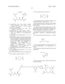 TRIAZINE BASED RADIOPHARMACEUTICALS AND RADIOIMAGING AGENTS diagram and image