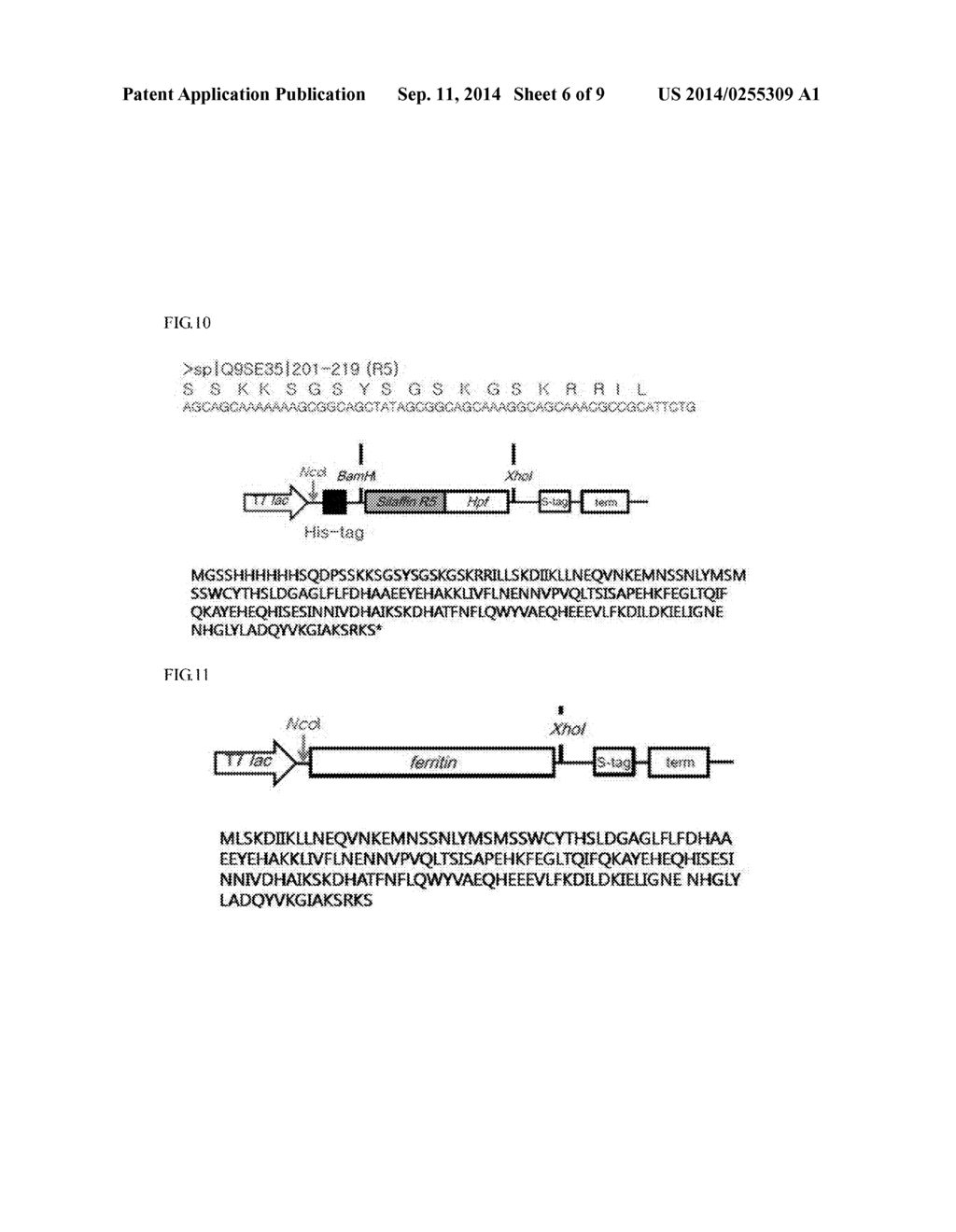 Peptide for Synthesizing Silica, and Use Thereof - diagram, schematic, and image 07