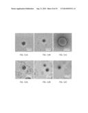 BIOCOMPATIBLE POLYMERIC NANOPARTICLES DEGRADE AND RELEASE CARGO IN     RESPONSE TO BIOLOGICALLY RELEVANT LEVELS OF HYDROGEN PEROXIDE diagram and image