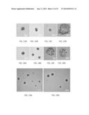 BIOCOMPATIBLE POLYMERIC NANOPARTICLES DEGRADE AND RELEASE CARGO IN     RESPONSE TO BIOLOGICALLY RELEVANT LEVELS OF HYDROGEN PEROXIDE diagram and image