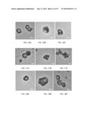 BIOCOMPATIBLE POLYMERIC NANOPARTICLES DEGRADE AND RELEASE CARGO IN     RESPONSE TO BIOLOGICALLY RELEVANT LEVELS OF HYDROGEN PEROXIDE diagram and image