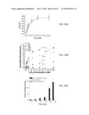 BIOCOMPATIBLE POLYMERIC NANOPARTICLES DEGRADE AND RELEASE CARGO IN     RESPONSE TO BIOLOGICALLY RELEVANT LEVELS OF HYDROGEN PEROXIDE diagram and image