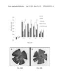 BIOCOMPATIBLE POLYMERIC NANOPARTICLES DEGRADE AND RELEASE CARGO IN     RESPONSE TO BIOLOGICALLY RELEVANT LEVELS OF HYDROGEN PEROXIDE diagram and image