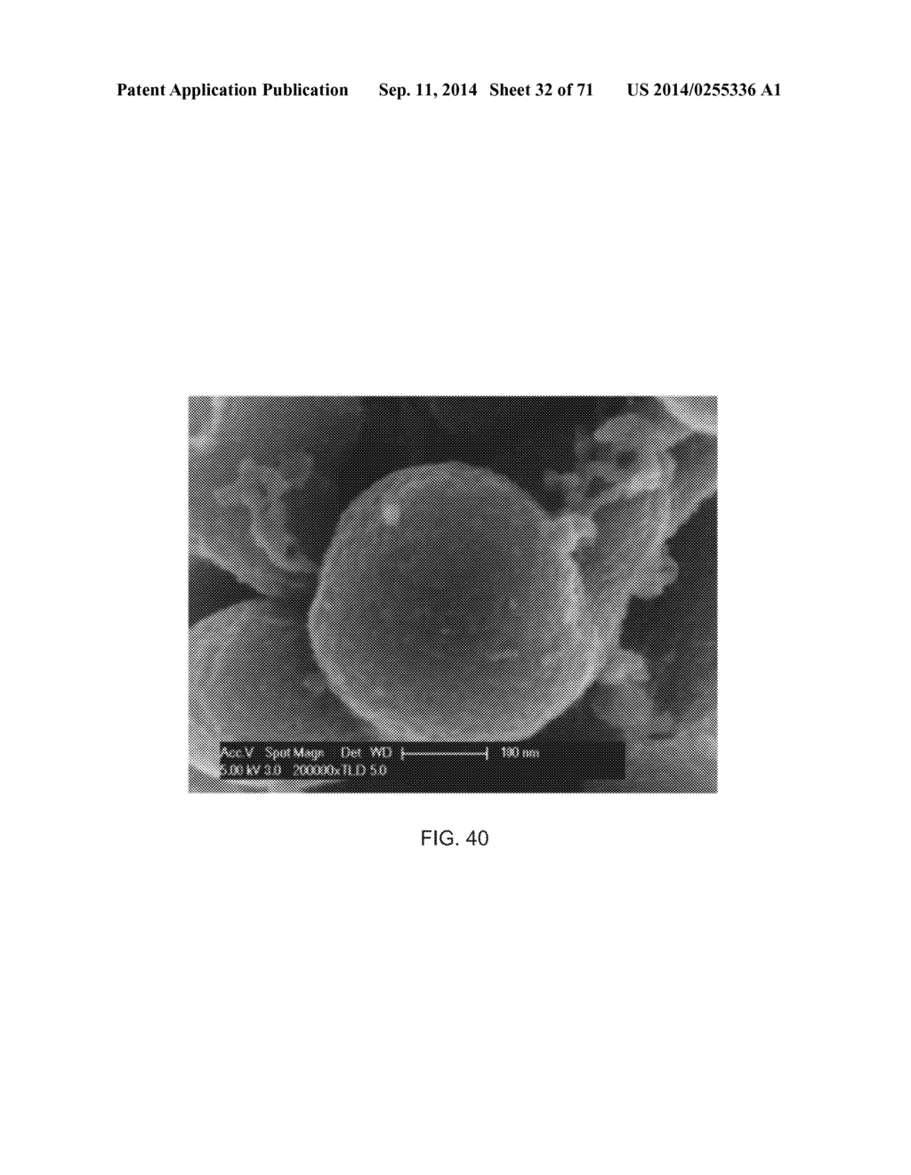 POLYPHOSPHATE-FUNCTIONALIZED INORGANIC NANOPARTICLES AS HEMOSTATIC     COMPOSITIONS AND METHODS OF USE - diagram, schematic, and image 33