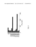 AMINO ACID SUBSTITUTED MOLECULES diagram and image