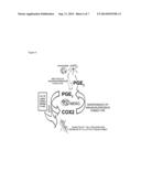 GENERATION OF IMMUNOSUPPRESSIVE MYELOID CELLS USING PGE2 diagram and image