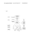 GENERATION OF IMMUNOSUPPRESSIVE MYELOID CELLS USING PGE2 diagram and image