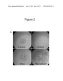 METHODS, KITS, AND COMPOSITIONS FOR STEM CELL SELF-RENEWAL diagram and image