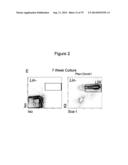 METHODS, KITS, AND COMPOSITIONS FOR STEM CELL SELF-RENEWAL diagram and image