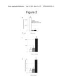 METHODS, KITS, AND COMPOSITIONS FOR STEM CELL SELF-RENEWAL diagram and image