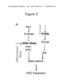 METHODS, KITS, AND COMPOSITIONS FOR STEM CELL SELF-RENEWAL diagram and image