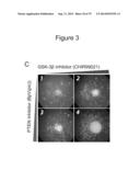 METHODS, KITS, AND COMPOSITIONS FOR STEM CELL SELF-RENEWAL diagram and image