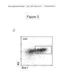 METHODS, KITS, AND COMPOSITIONS FOR STEM CELL SELF-RENEWAL diagram and image