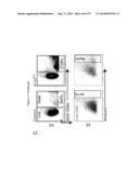 METHODS, KITS, AND COMPOSITIONS FOR STEM CELL SELF-RENEWAL diagram and image